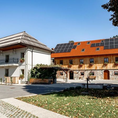Youth Hostel Arsviva Stari Trg pri Lozu Zewnętrze zdjęcie