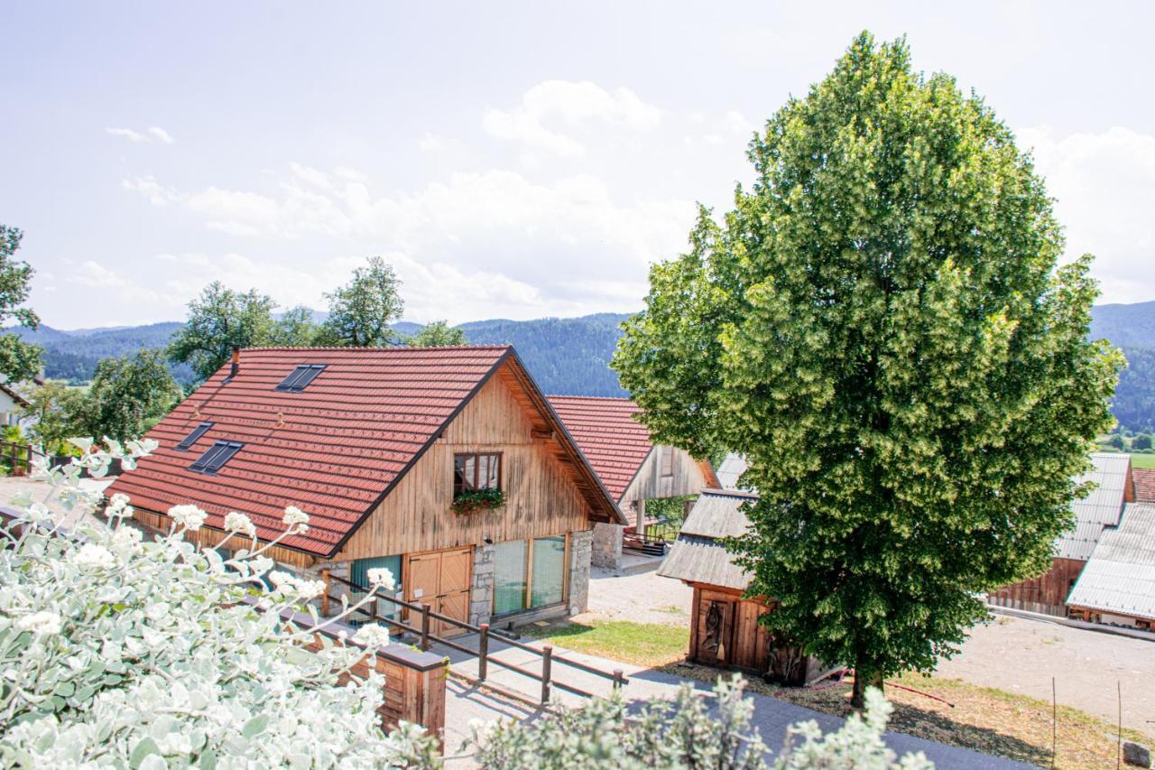Youth Hostel Arsviva Stari Trg pri Lozu Zewnętrze zdjęcie