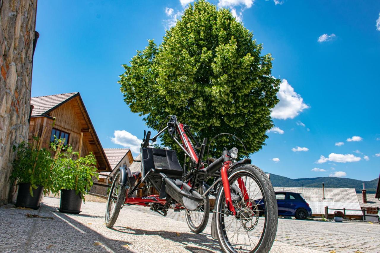 Youth Hostel Arsviva Stari Trg pri Lozu Zewnętrze zdjęcie
