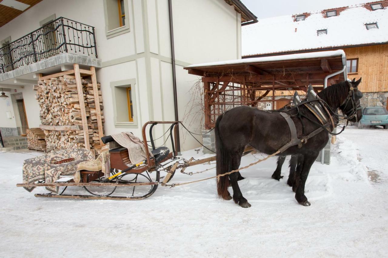 Youth Hostel Arsviva Stari Trg pri Lozu Zewnętrze zdjęcie